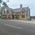 Elm Tree