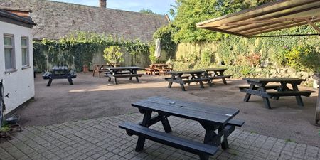 Bulls Head