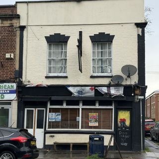 Golden Lion