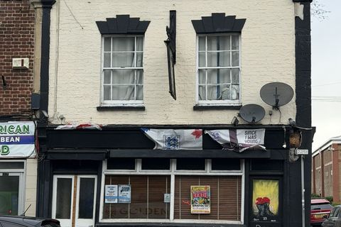 Golden Lion