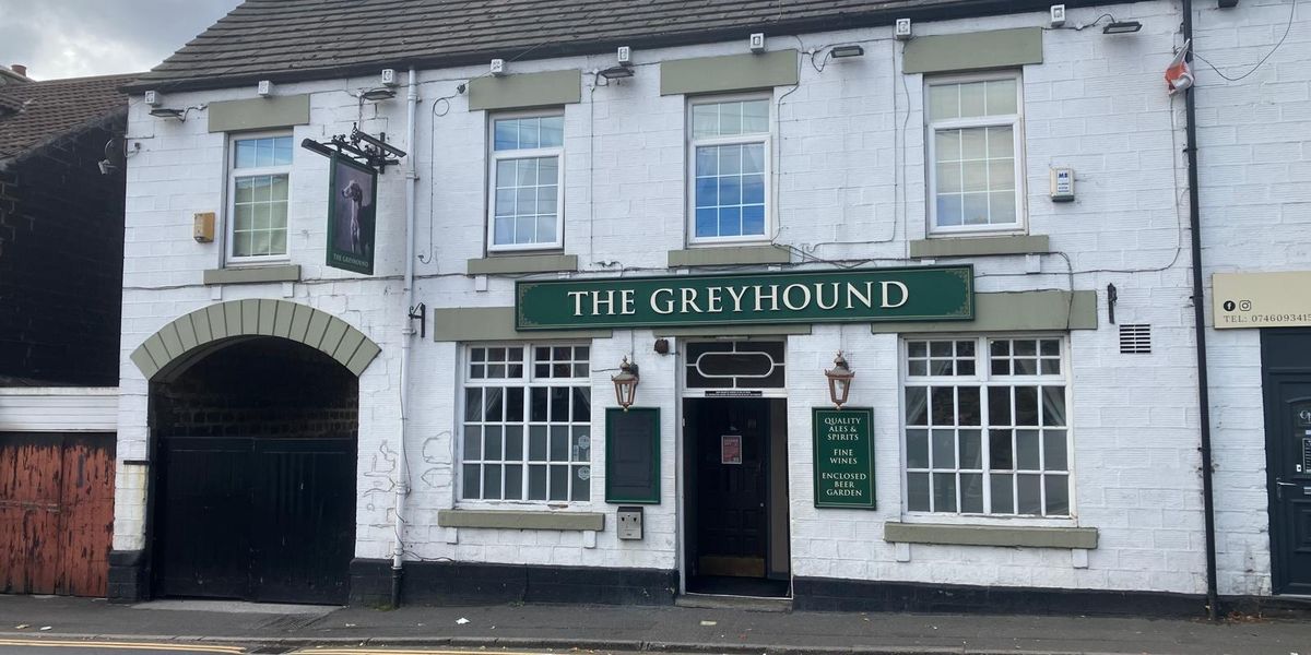 Greyhound