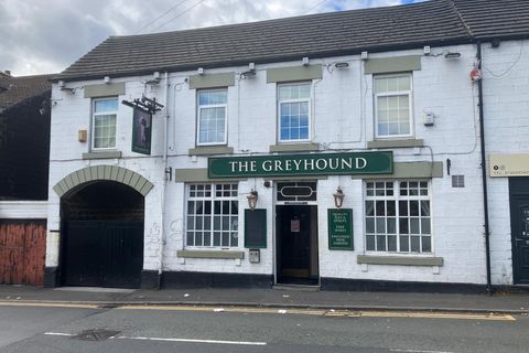 Greyhound