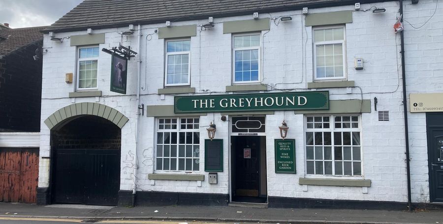 Greyhound