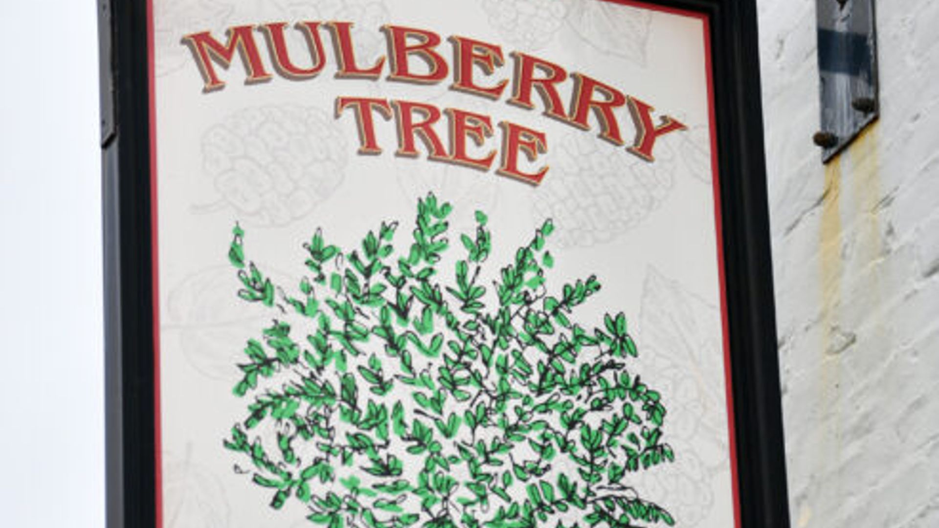 Mulberry Tree