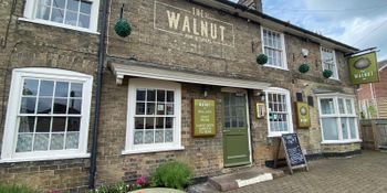 Walnut