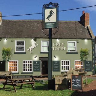 Grey Horse