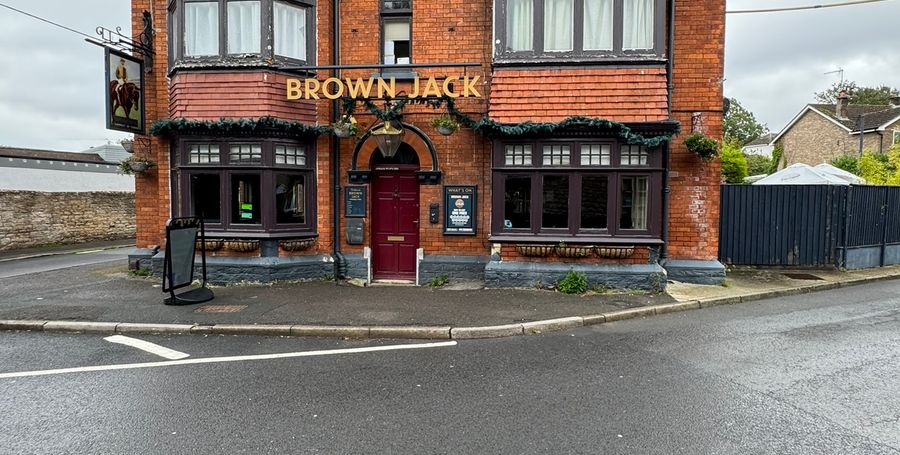 Brown Jack