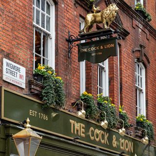 Cock & Lion