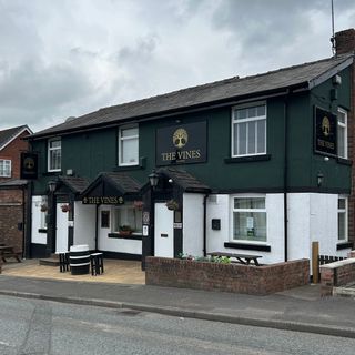 The Vines