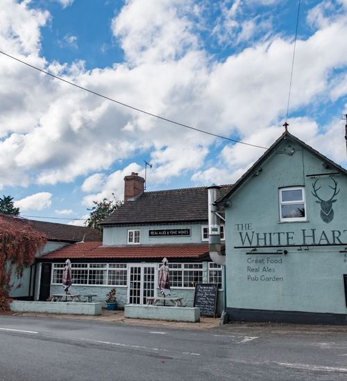 White Hart