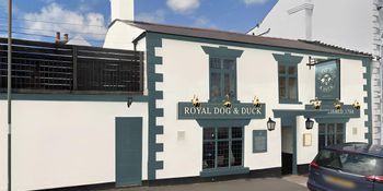 Royal Dog & Duck