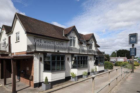 White Lion