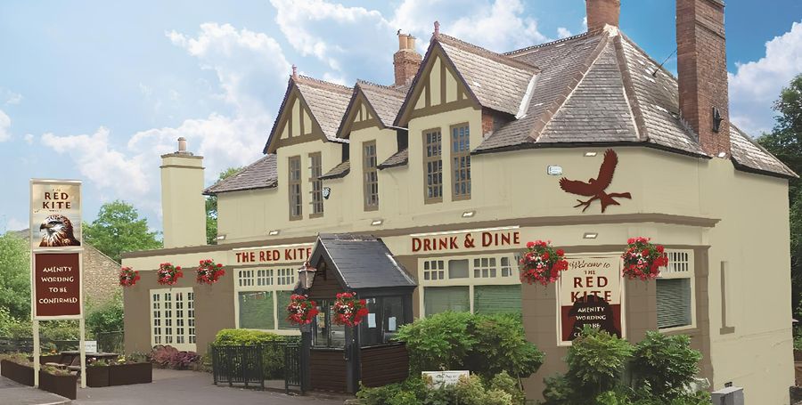 Red Kite