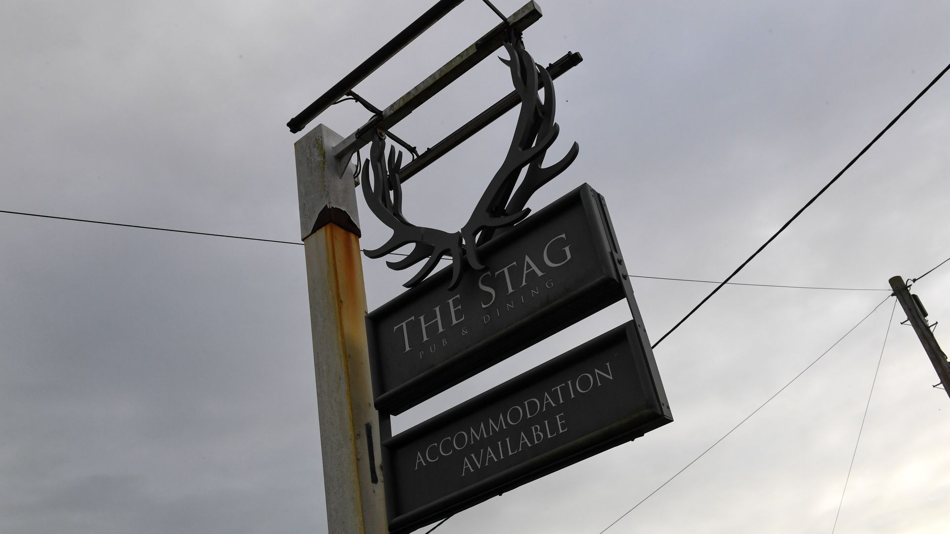 The Stag