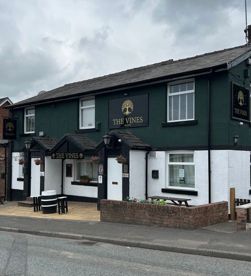 The Vines