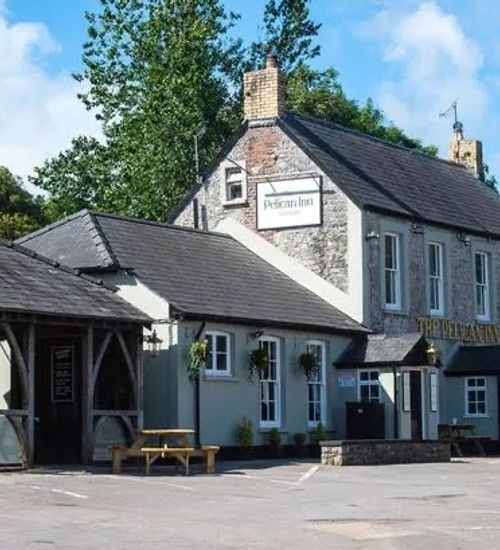 Pelican In Her Piety