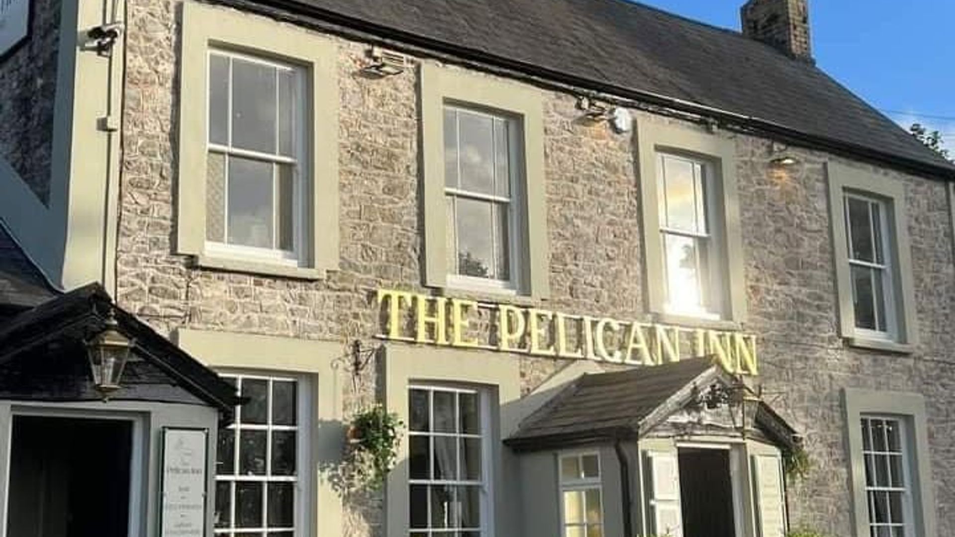 Pelican In Her Piety