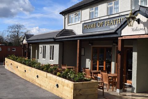 Plume Of Feathers