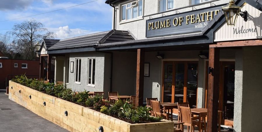 Plume Of Feathers