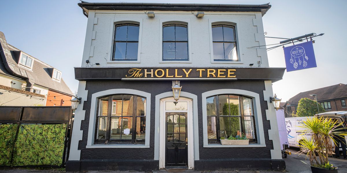 Holly Tree