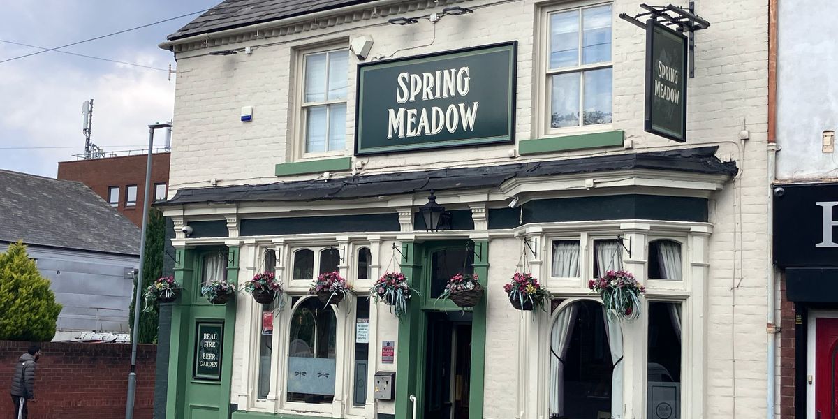Spring Meadow