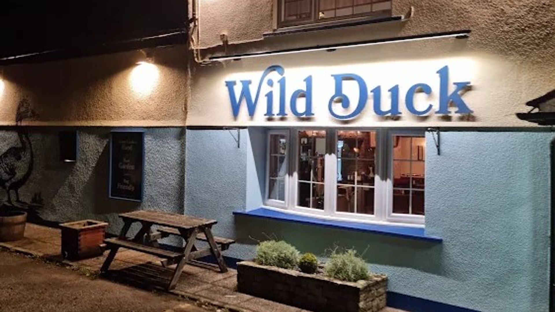 Wild Duck