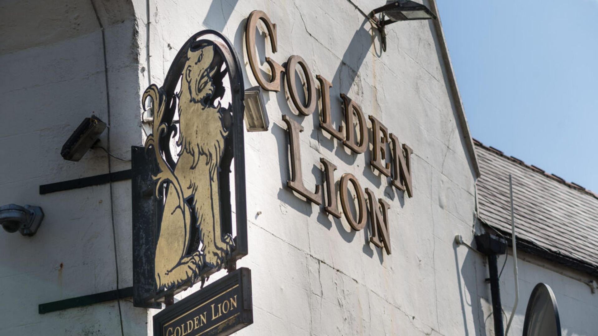 Golden Lion