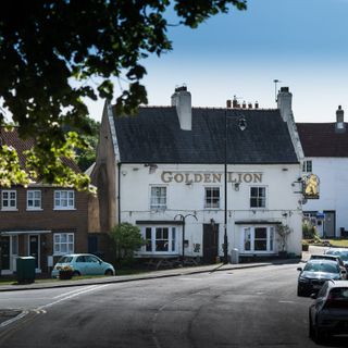 Golden Lion