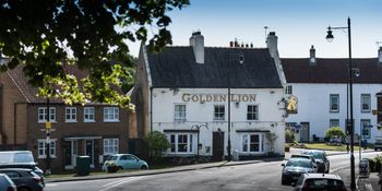 Golden Lion