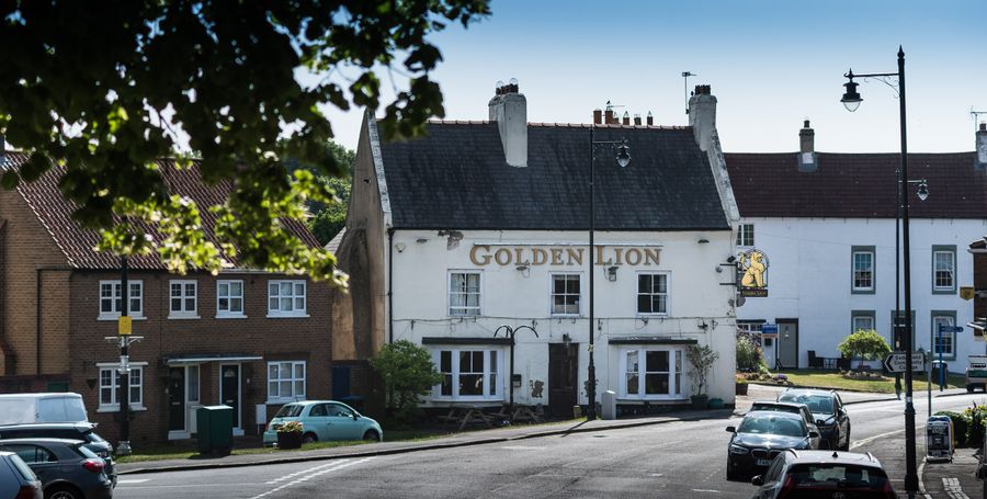 Golden Lion