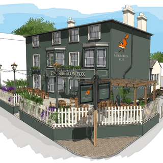 Surbiton Fox