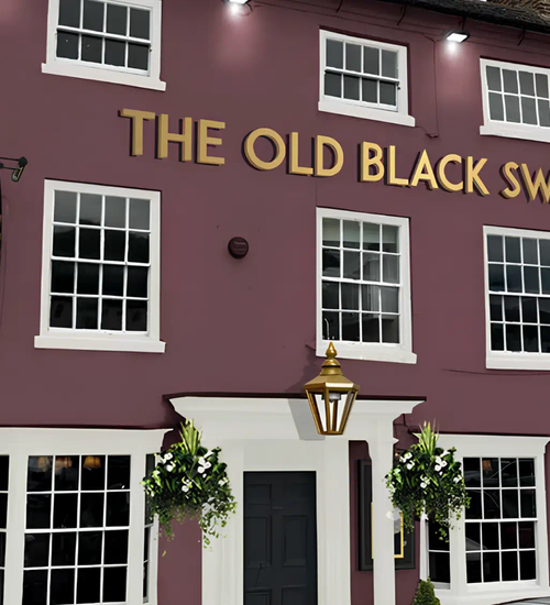 Old Black Swan