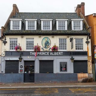 Prince Albert