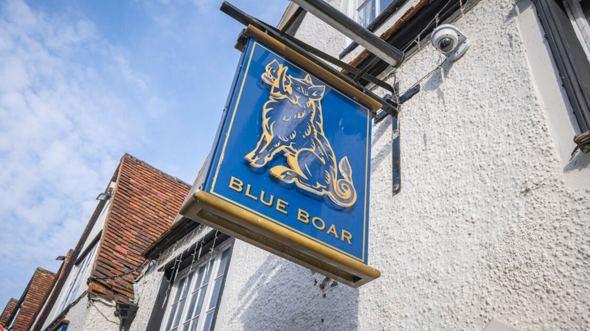 Blue Boar