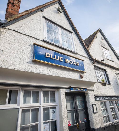 Blue Boar