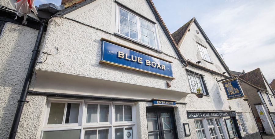Blue Boar