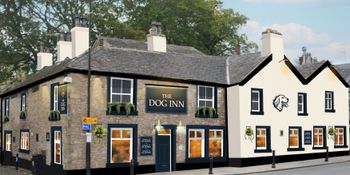 Dog Inn