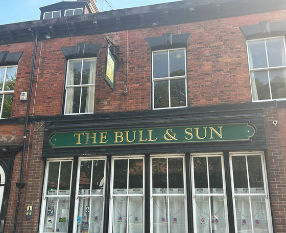 Bull & Sun