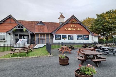 Golden Lion