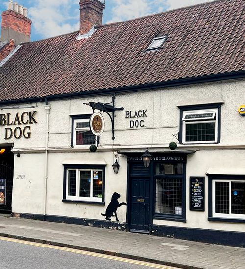 Black Dog