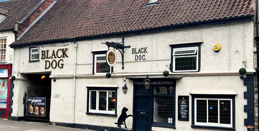 Black Dog