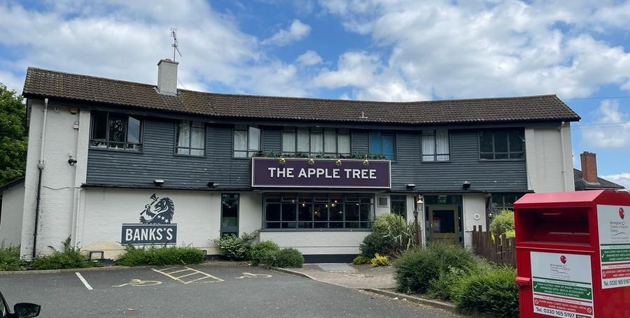 Apple Tree