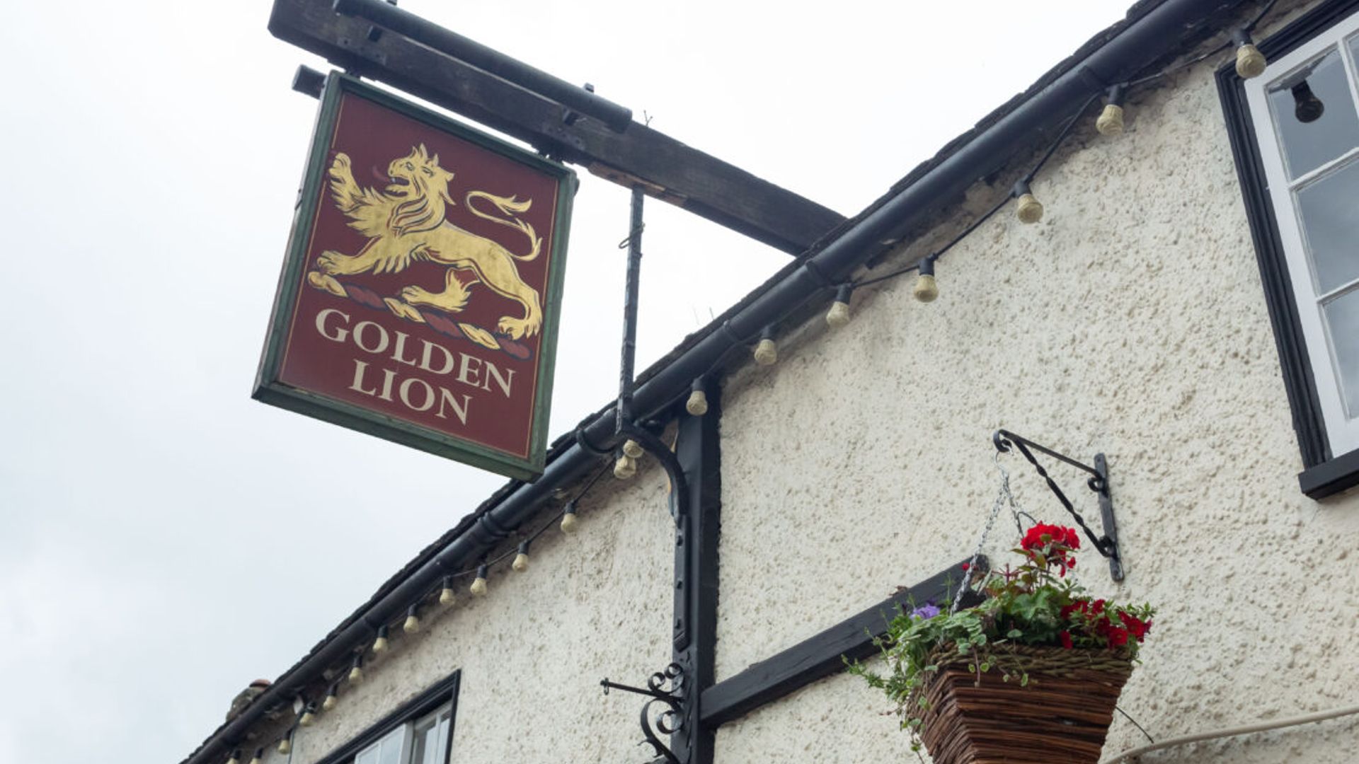Golden Lion