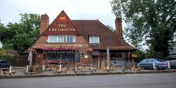 Greyhound