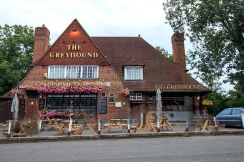 Greyhound