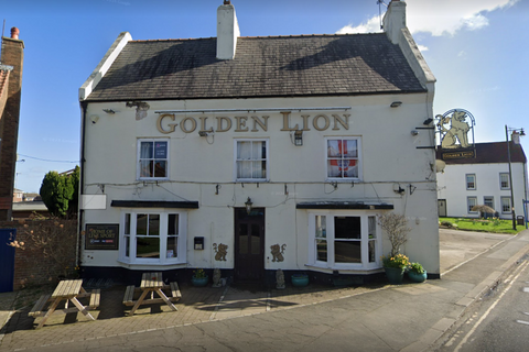 Golden Lion