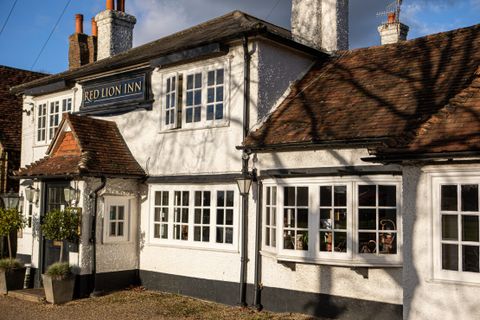 Red Lion
