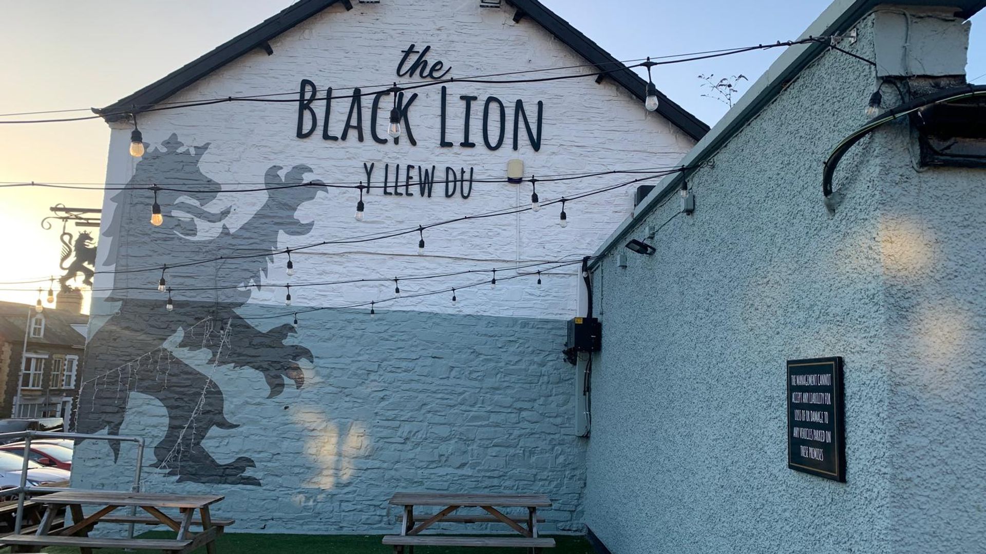 Black Lion