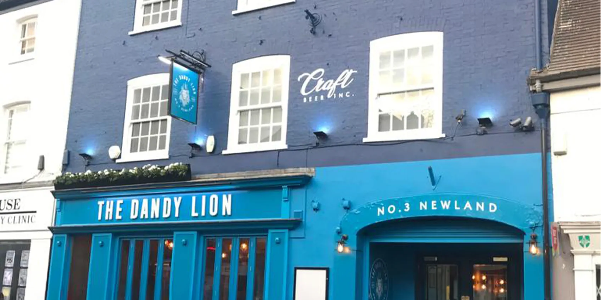 Dandy Lion
