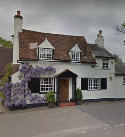 The Holly Bush